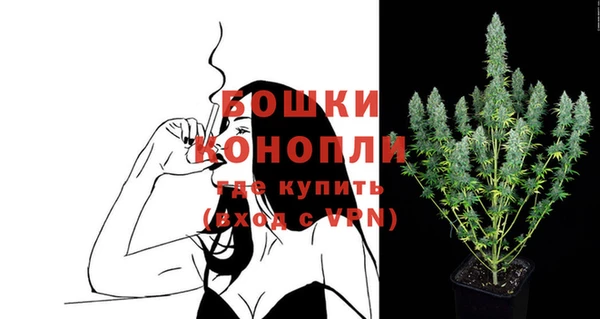амф Костерёво