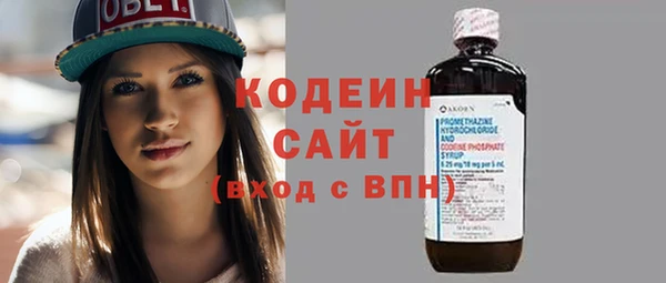 мяу мяу кристалл Корсаков