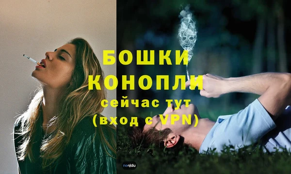 амф Костерёво