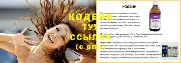 мяу мяу кристалл Корсаков