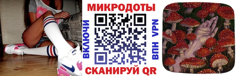 Псилоцибиновые грибы Psilocybe  Краснотурьинск 